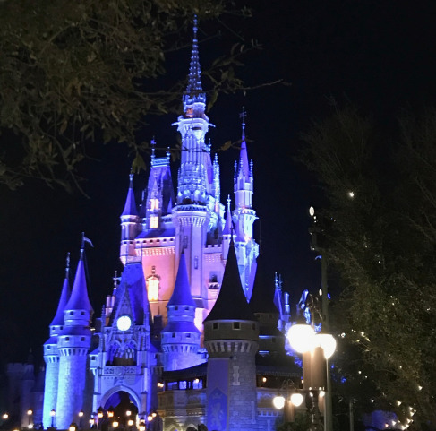 Second Star Travel service offers vacations such as Disney Cruise Line.